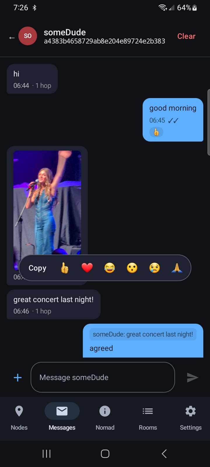 Long-press on a message showing the horizontal tap-back emoji row above a Copy action