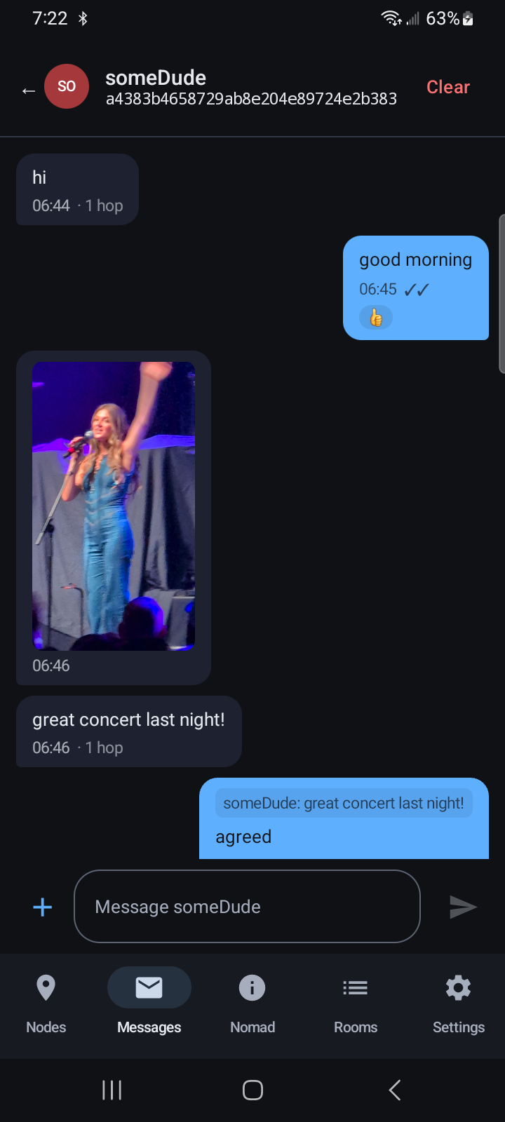 An open conversation thread showing two-coloured chat bubbles, a heart reaction, an image attachment and a swipe-to-reply quote